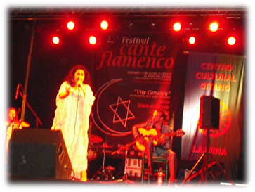 flamenco3.png