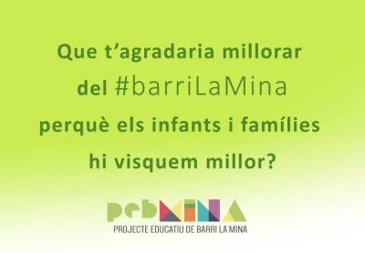 Imatge de la #RadiografiaLaMina