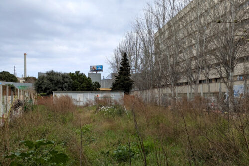 Més informació sobre l'article El futur hort comunitari de La Mina comença a prendre forma