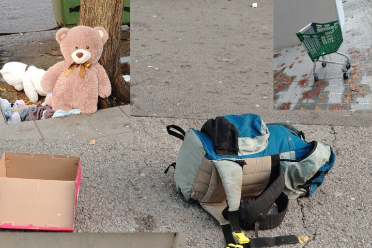 Més informació sobre l'article Em pregunto (V) – Gener 2026